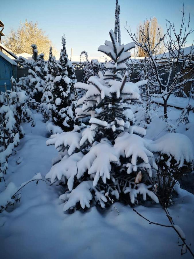 Загородный Коттедж Kek-Dzhar Luaran gambar